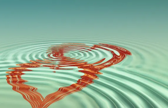 Casollo Casino Suporte